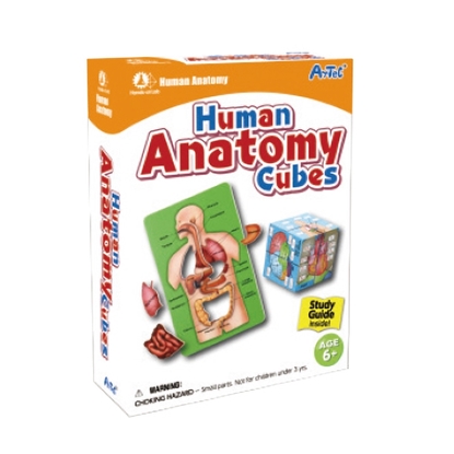 گل تک مکعب های آناتومی بدن انسان (همراه با کتاب)